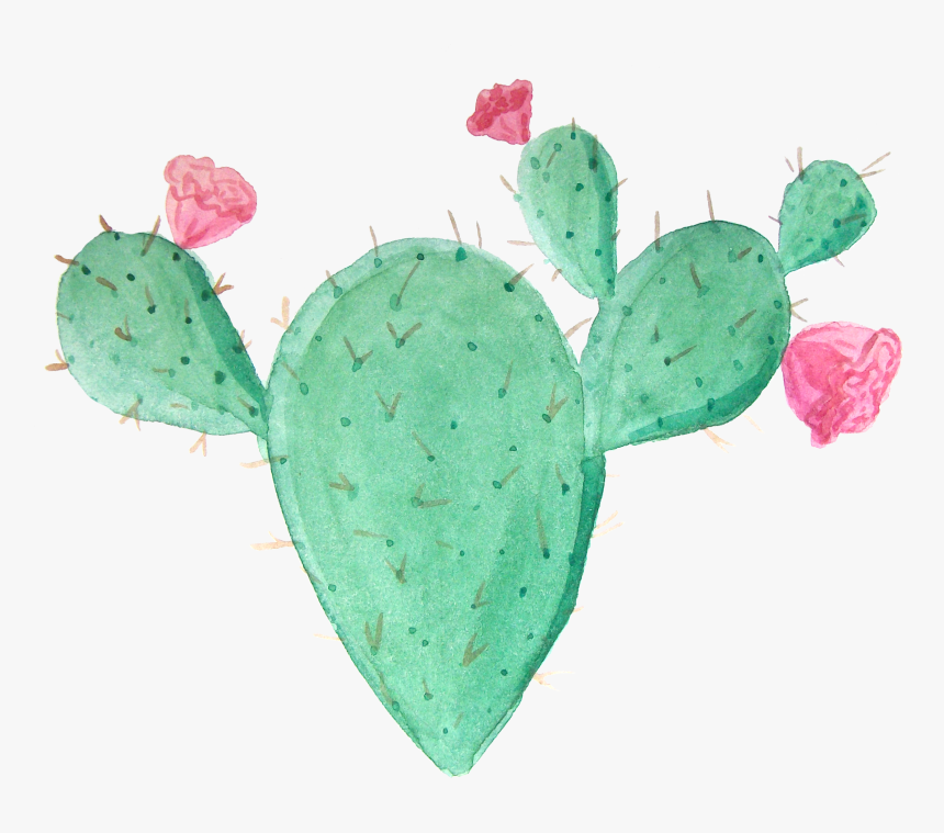 #cactus #ftestickers - Cactus, HD Png Download
