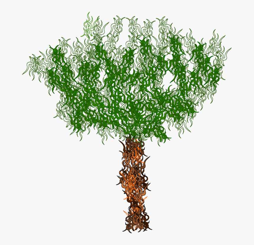 American Larch,plant,flower - Grass, HD Png Download