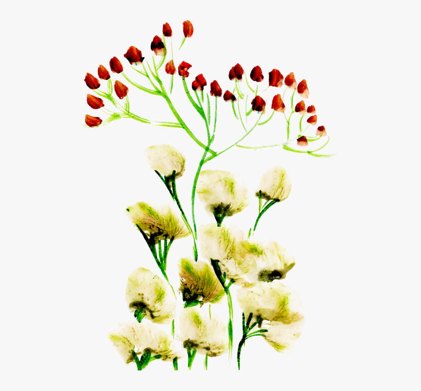 Bouquet, HD Png Download