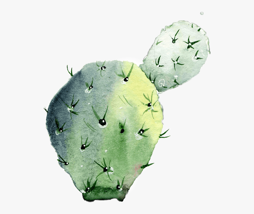 #cactus🌵 #colorsplash - Eastern Prickly Pear, HD Png Download