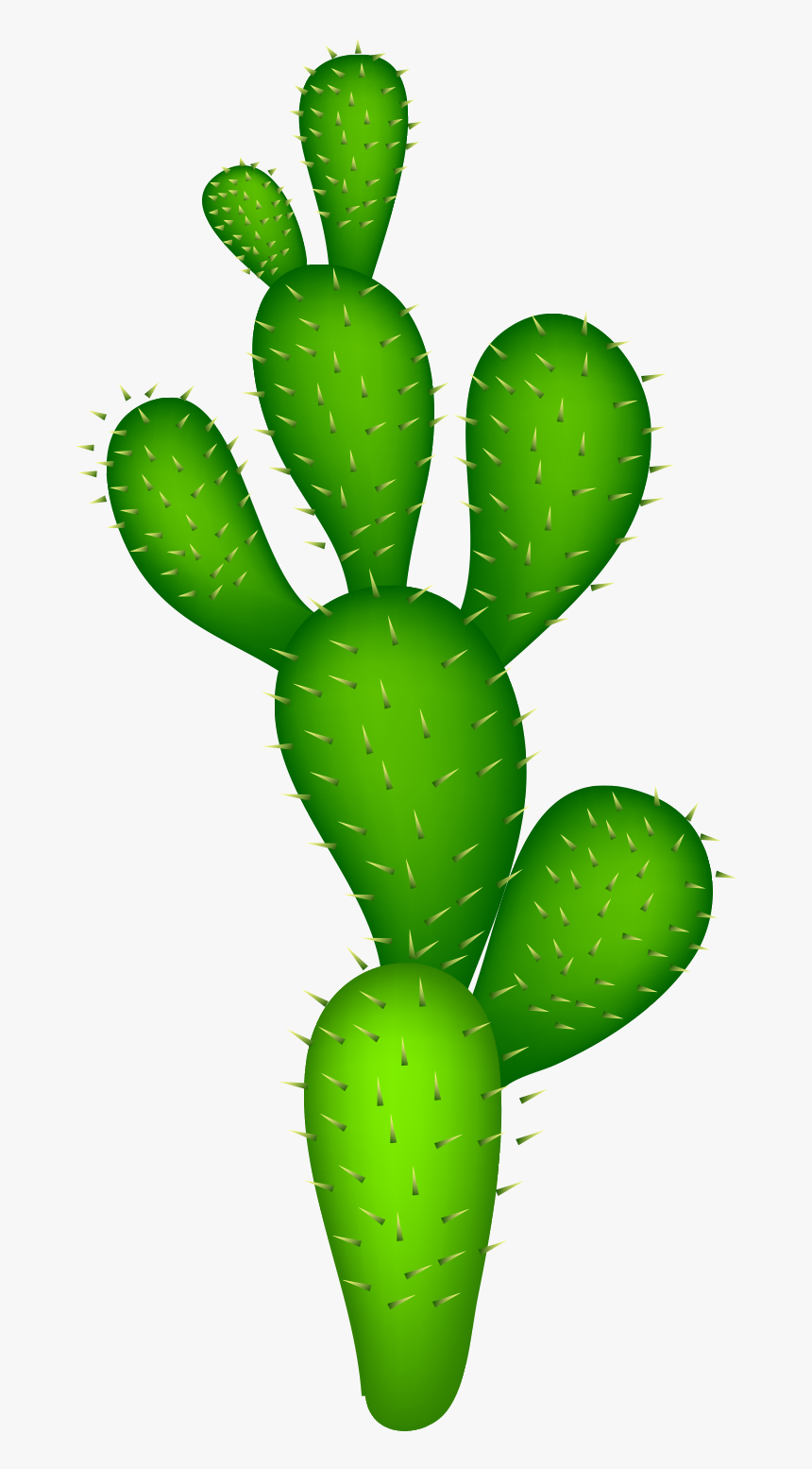 Cactaceae Clip Art, HD Png Download