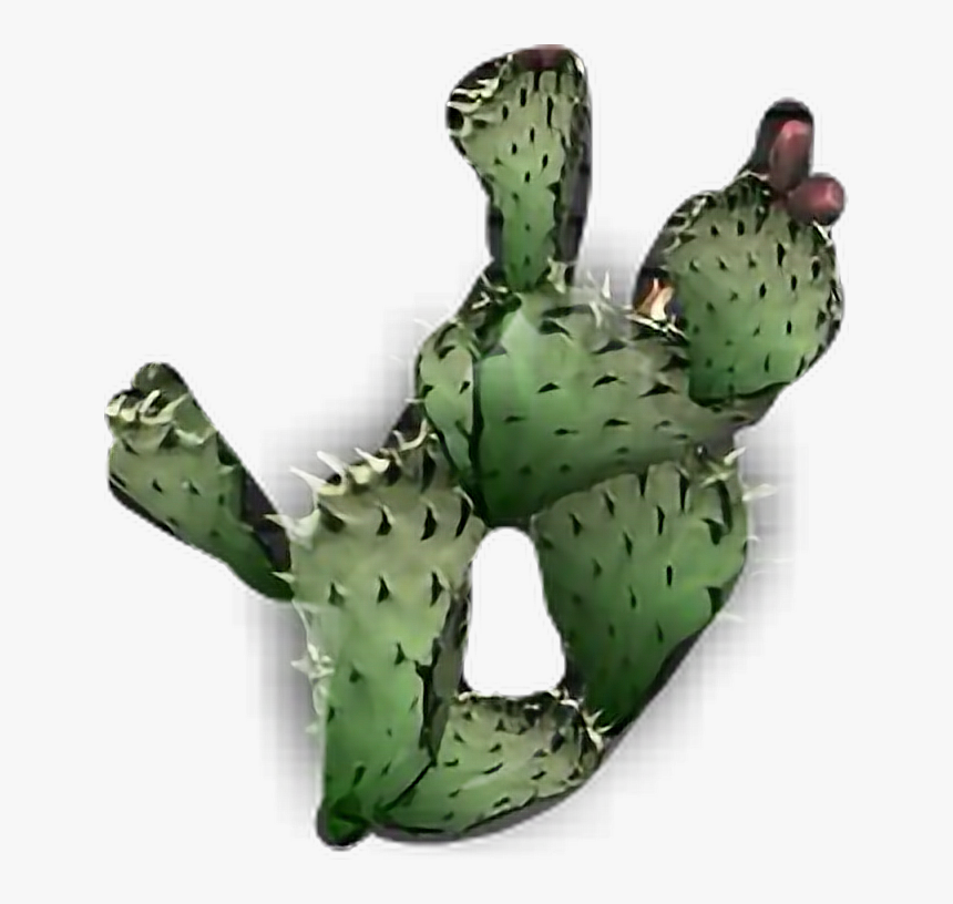 #cactus Plant - Eastern Prickly Pear, HD Png Download