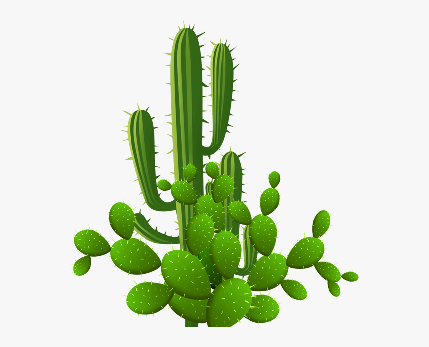 Eastern Prickly Pear, HD Png Download