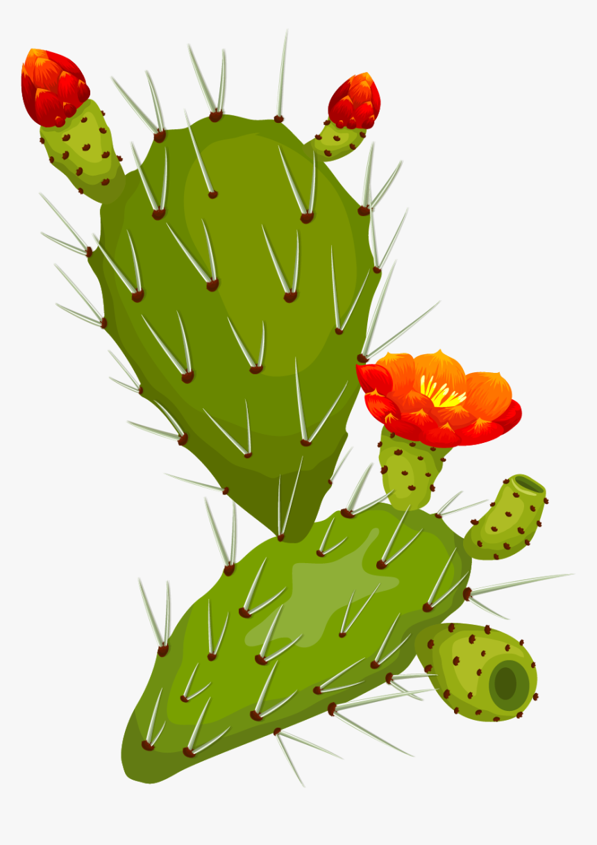 Thorn Fig, HD Png Download