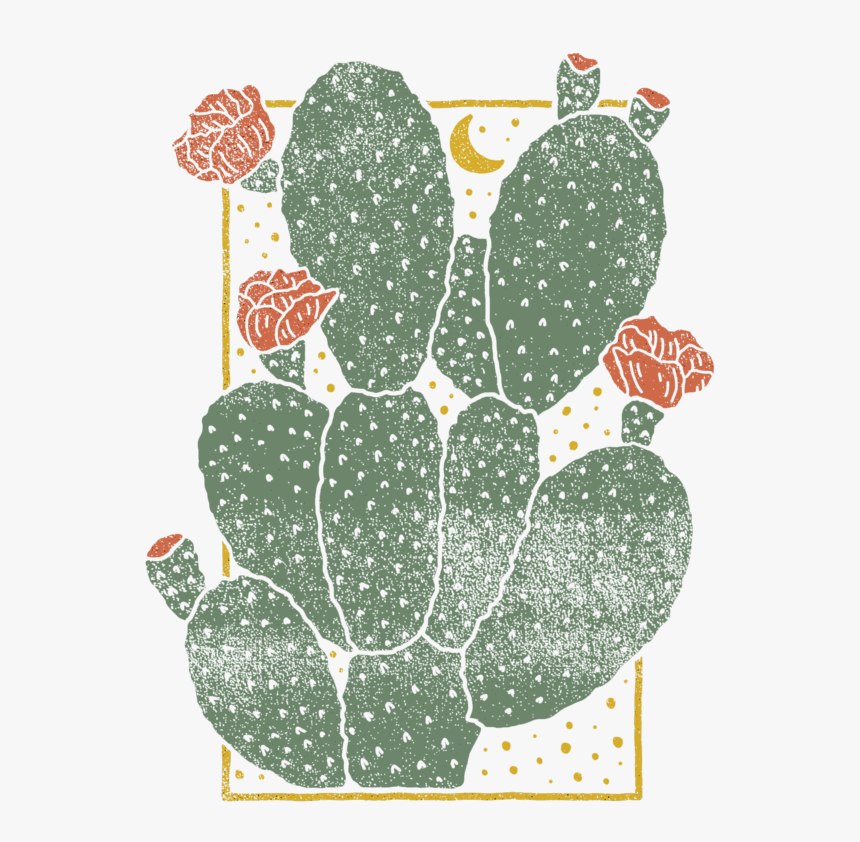 Cactus-01 - Cactus Graphic Design, HD Png Download