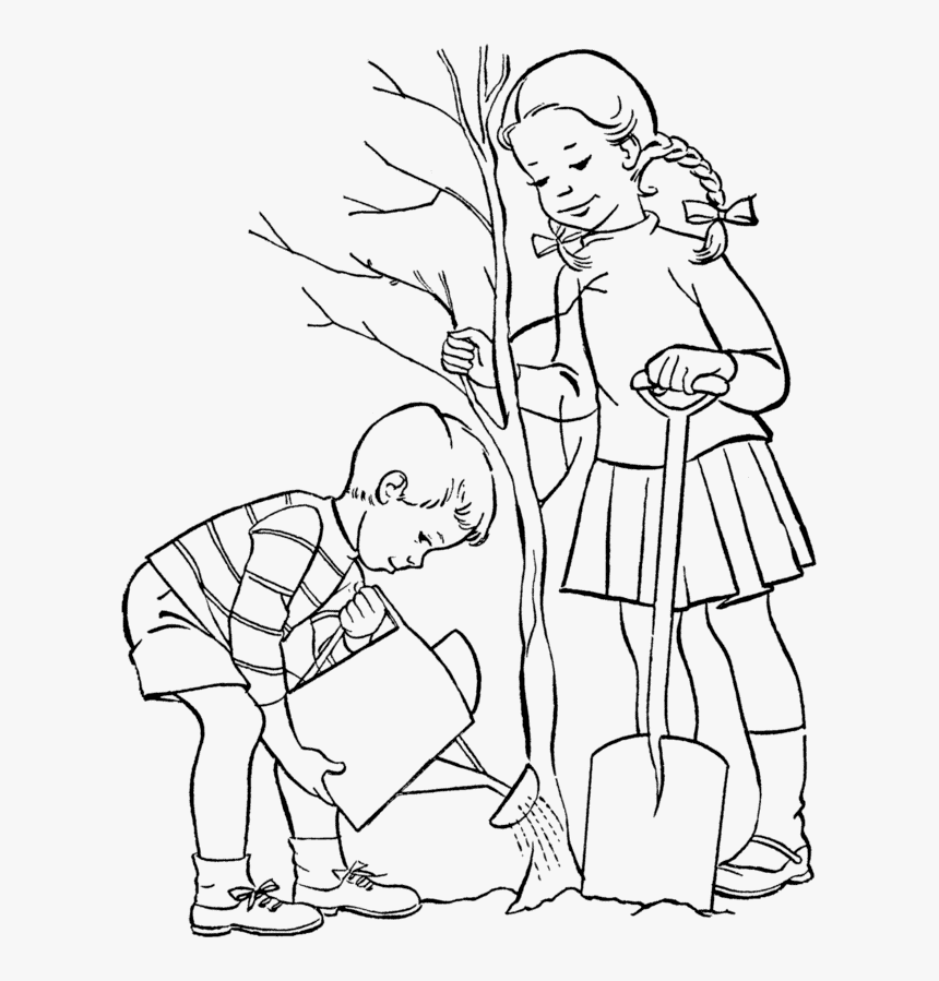 Meninos Plantando Arvore - People Planting Trees Drawing, HD Png Download