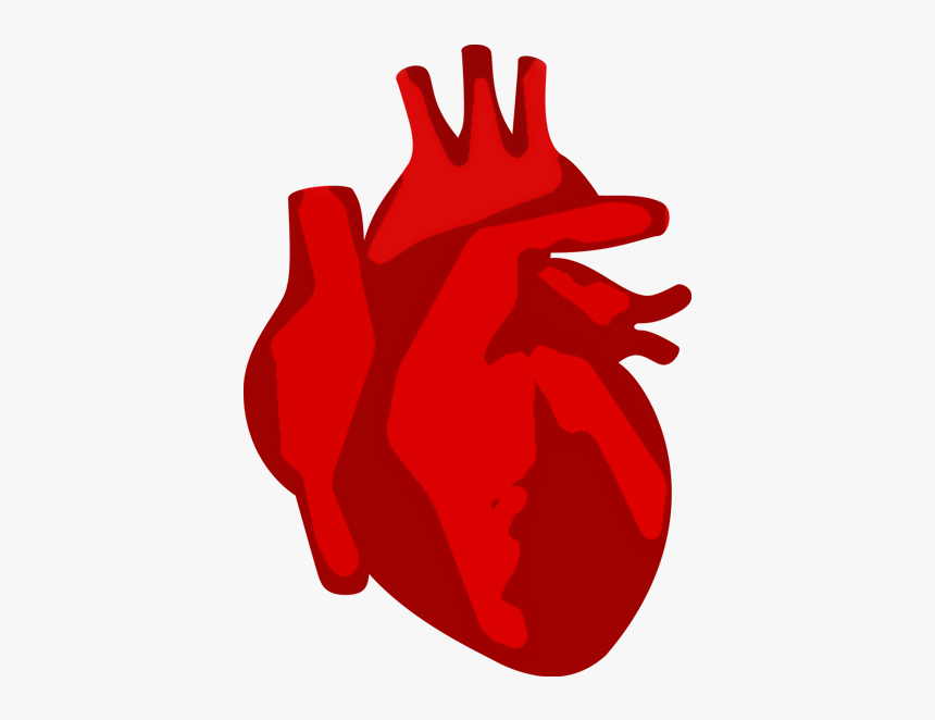 The Studio, We Love Web Design, Graphic Design, Photography, - Illustration, HD Png Download