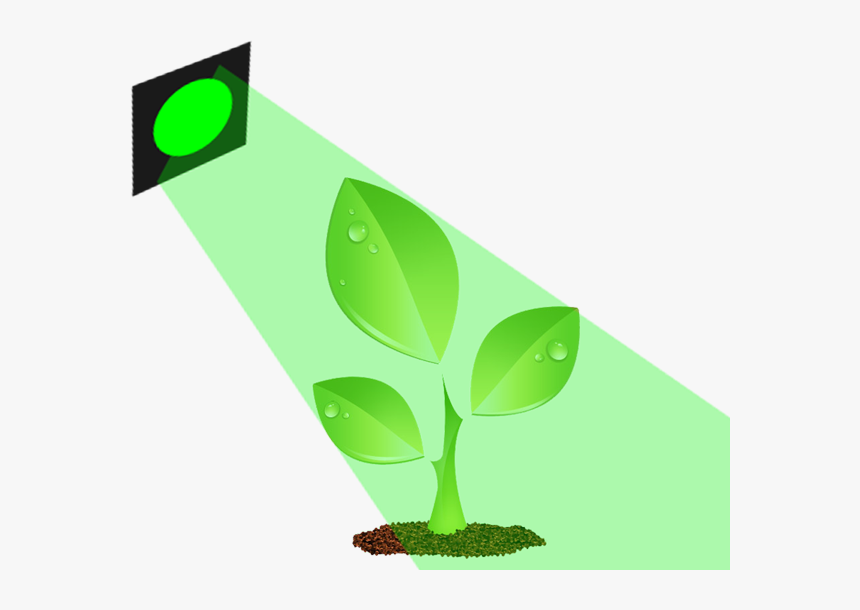 Green Light Plant, HD Png Download