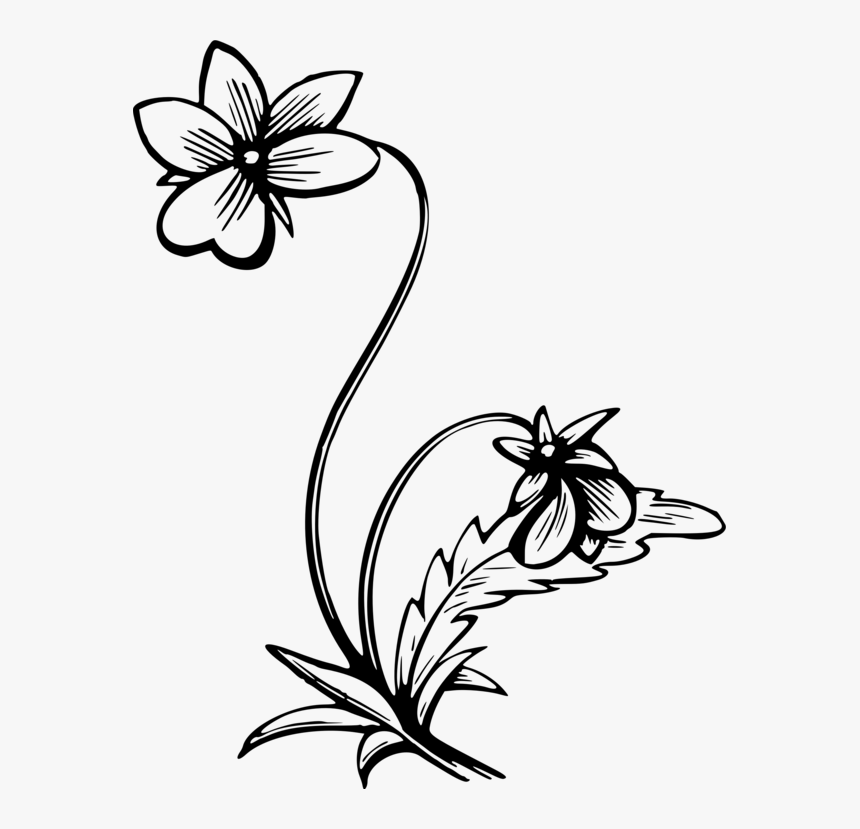 Symmetry,monochrome Photography,petal - Clip Art, HD Png Download
