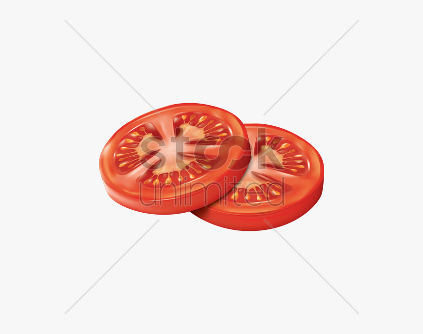 Tomato Slice Vector Image - Dollar, HD Png Download