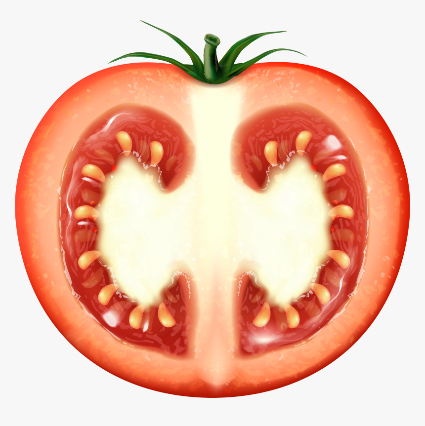 Half Tomato Transparent Clip Art Image, HD Png Download