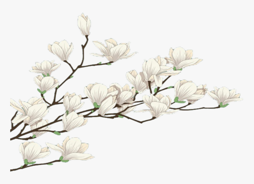 #mq #white #flowers #flower #garden #nature - Snowdrop, HD Png Download