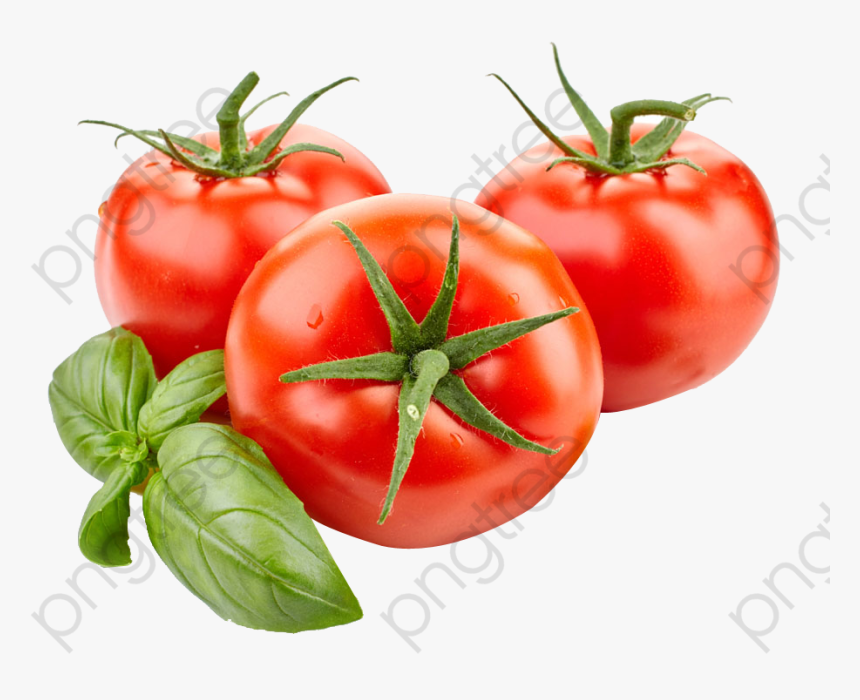Tomato Clipart Cut - Tomato Png, Transparent Png