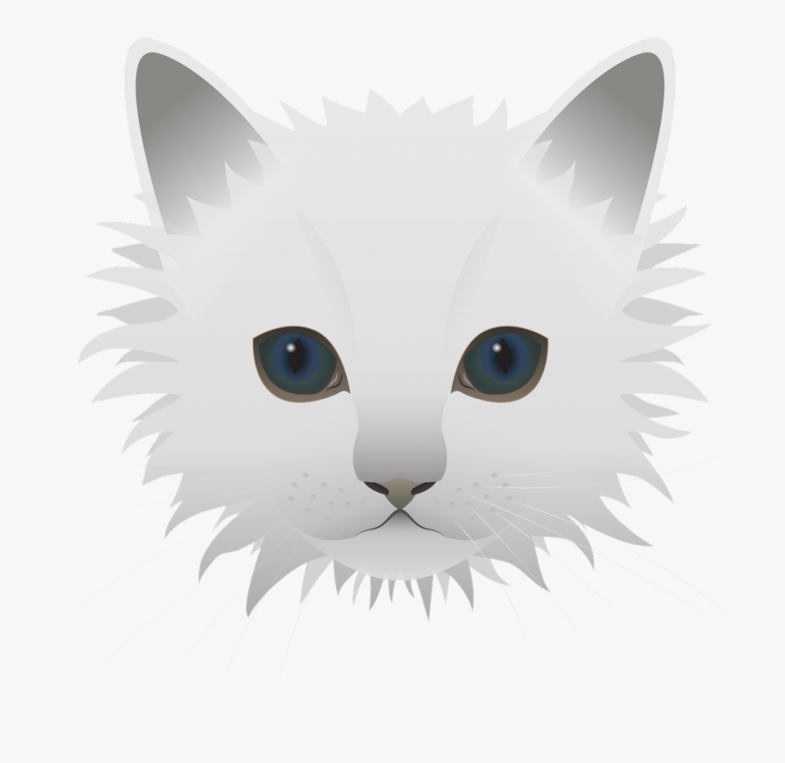 Cat, HD Png Download