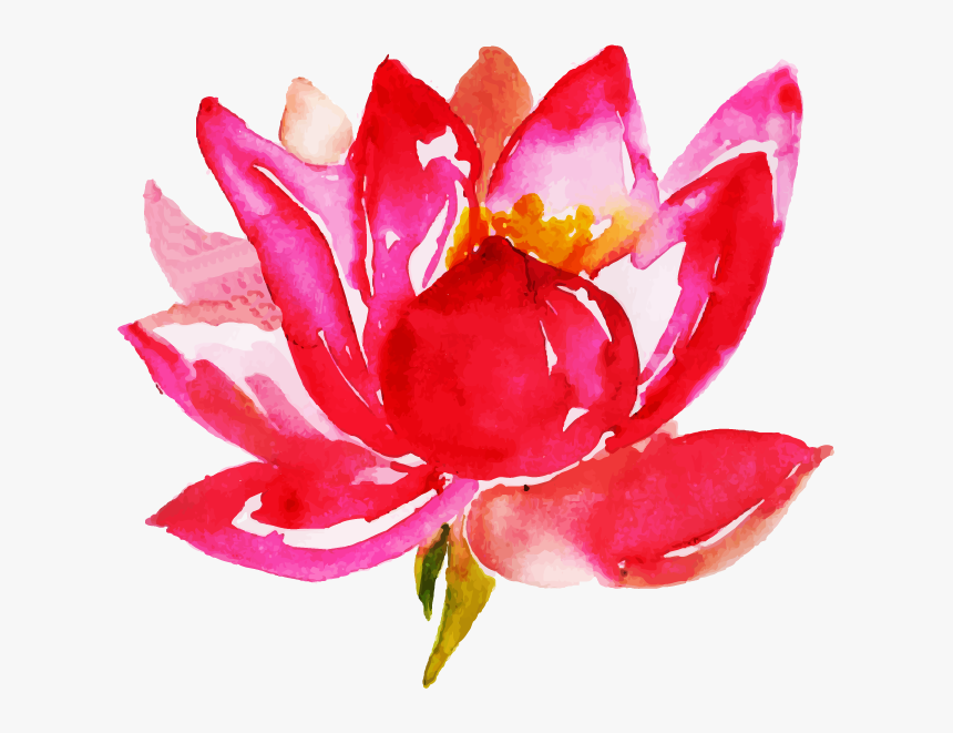 Sacred Lotus, HD Png Download