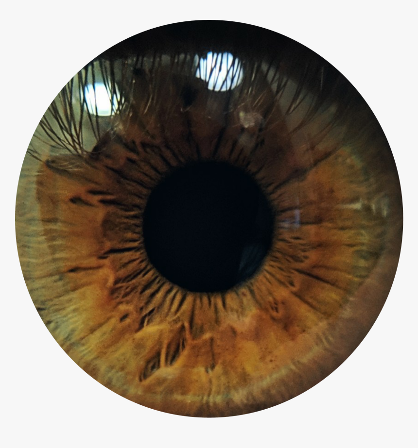 ##sticker #freetoedit #eye #ojo #picsart #vakson - Circle, HD Png Download