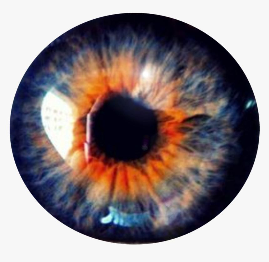 #pupille #eyecolour - Blue And Red Eyes Iris, HD Png Download