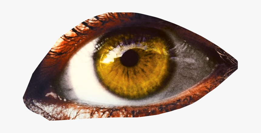 #eye #eyeball #eyesticker #yelloweye - Close-up, HD Png Download