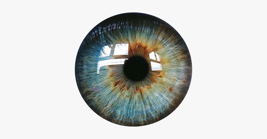 Eye Color, HD Png Download