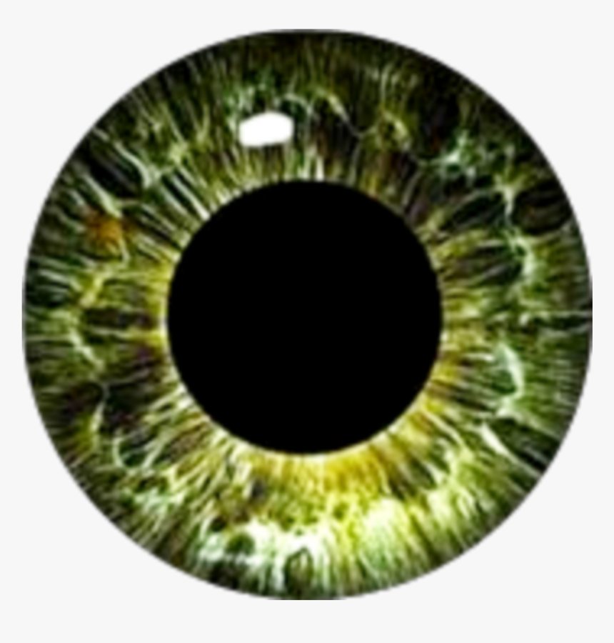 #greeneyes #eyes #eyeball - Circle, HD Png Download
