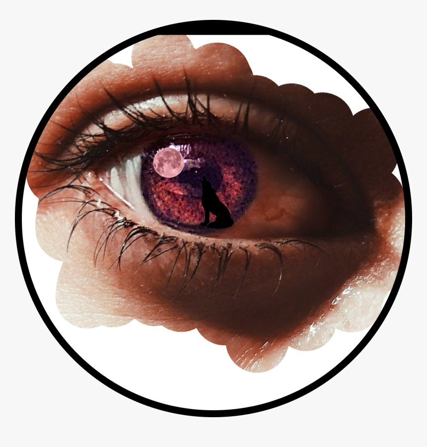 What Colour Eyes Do You Have - Close-up, HD Png Download
