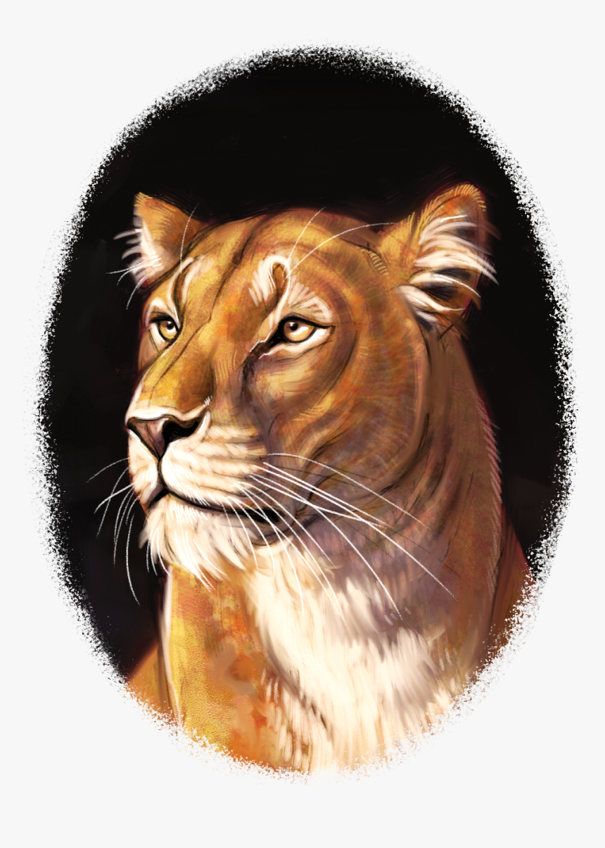 Eye Balls Png, Transparent Png