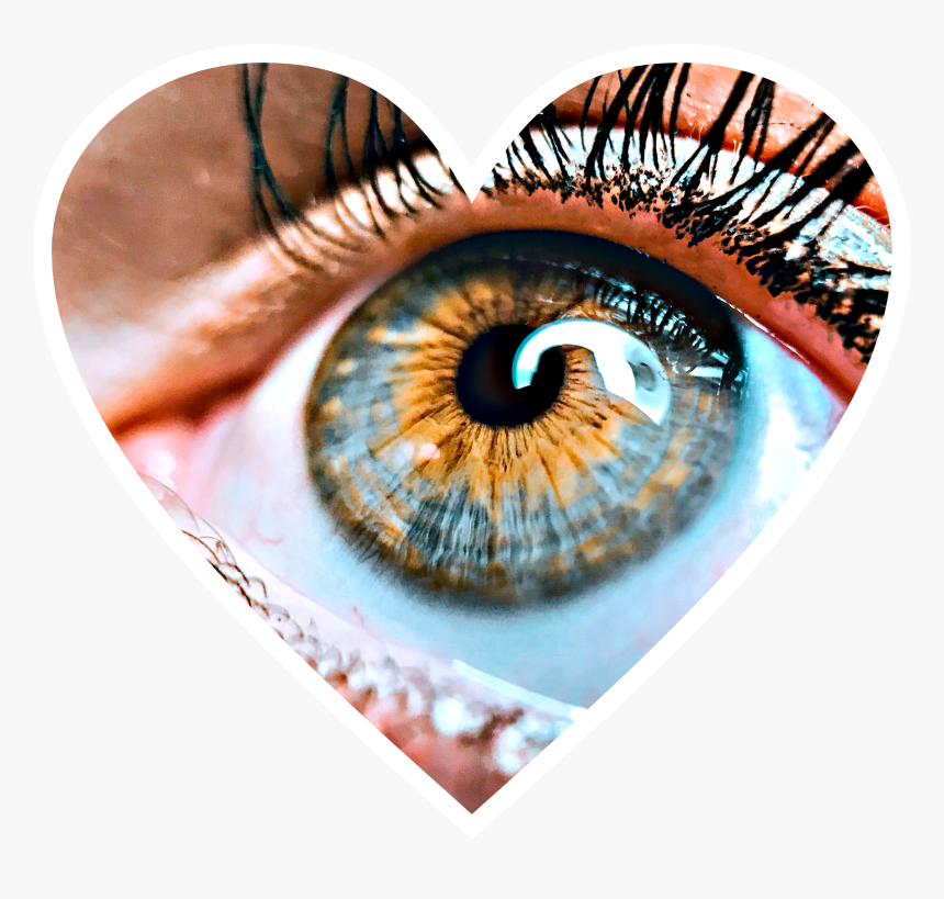 Eye Balls Png, Transparent Png