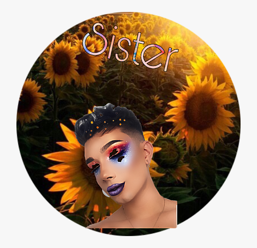 #singlelife - Sunflower, HD Png Download