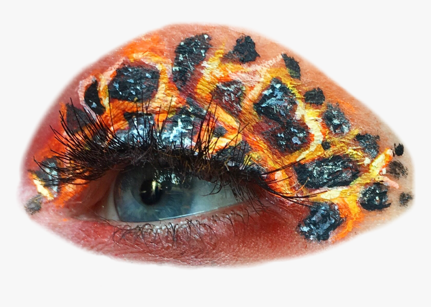 Close-up, HD Png Download
