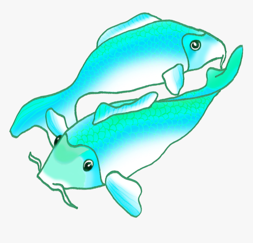 Two Blue Green Koi Fish, HD Png Download