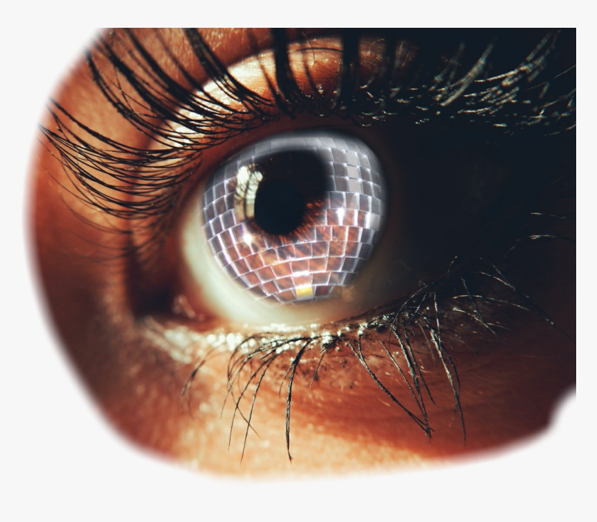 Rainbow, HD Png Download