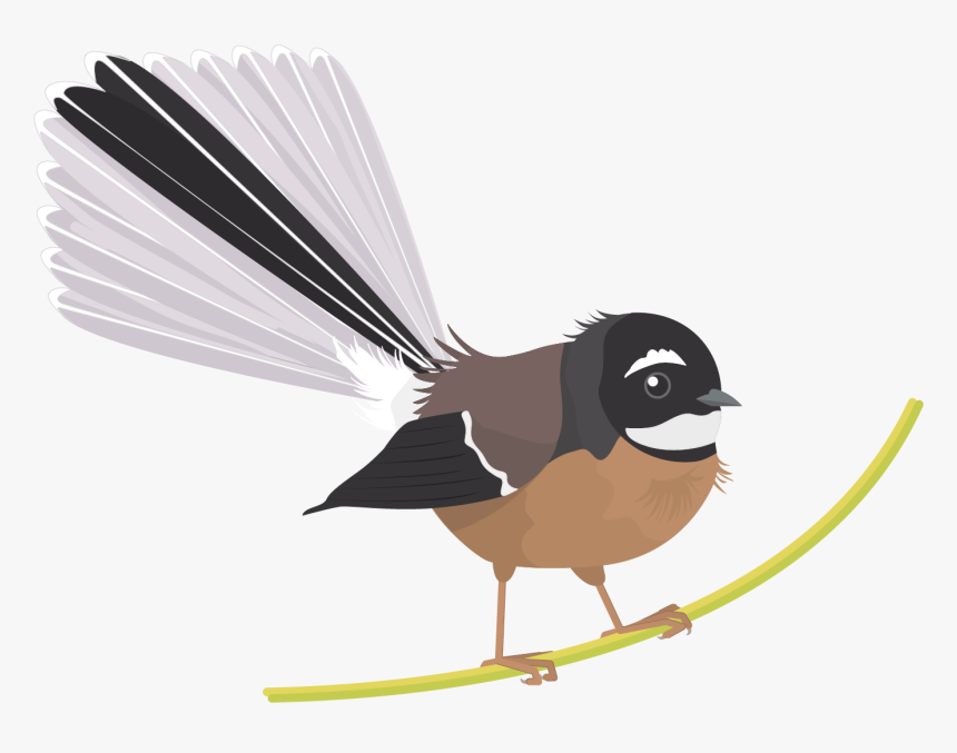 Fantail Bird Png, Transparent Png