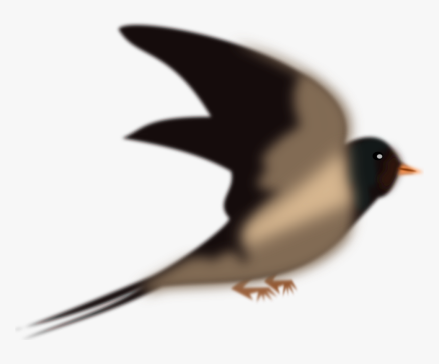 All Photo Png Clipart - Swallow Bird Birds Png, Transparent Png