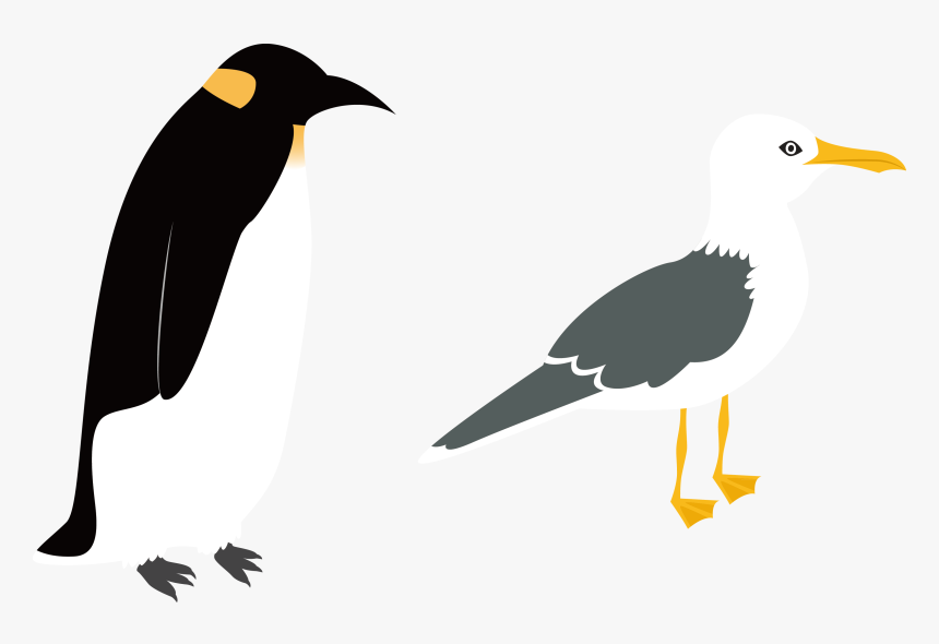 Penguin Vector Png - Intermediate Egret Flat Illustration, Transparent Png