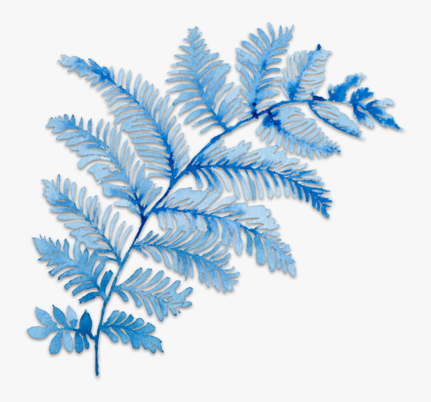 #ftestickers #art #watercolor #floral #branch #blue - Blue Fern Leaf Png, Transparent Png