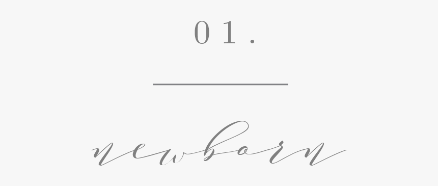 Button-1 - Calligraphy, HD Png Download