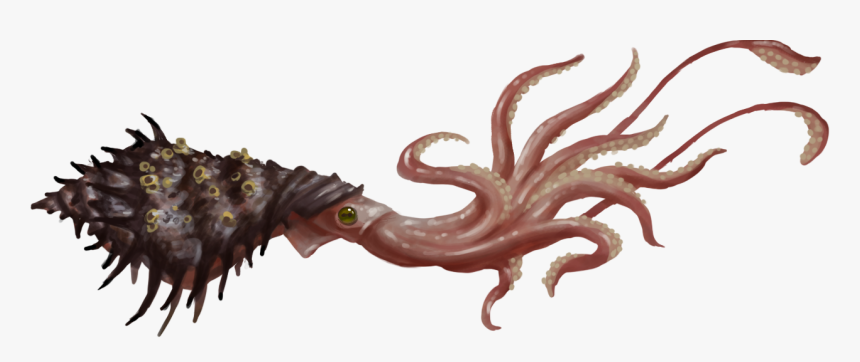 View Media - Prehistoric Squid, HD Png Download