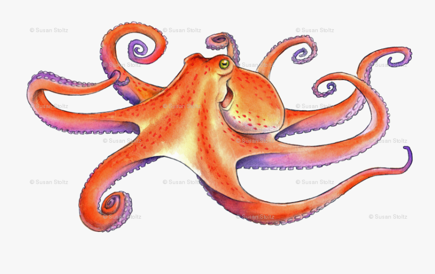 Octopus, HD Png Download