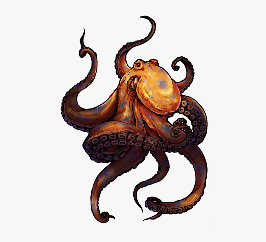 Octopus Tattoo, HD Png Download