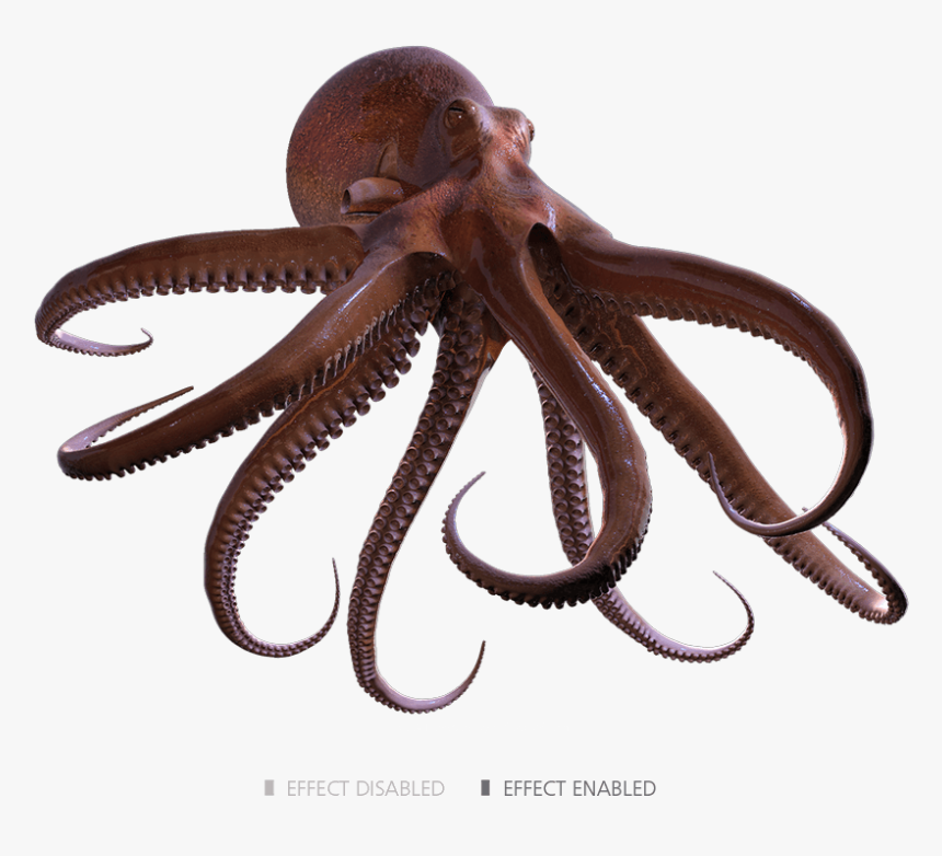 Octopus Render, HD Png Download