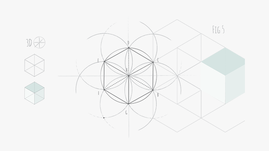 Hexagon Fig - Circle, HD Png Download