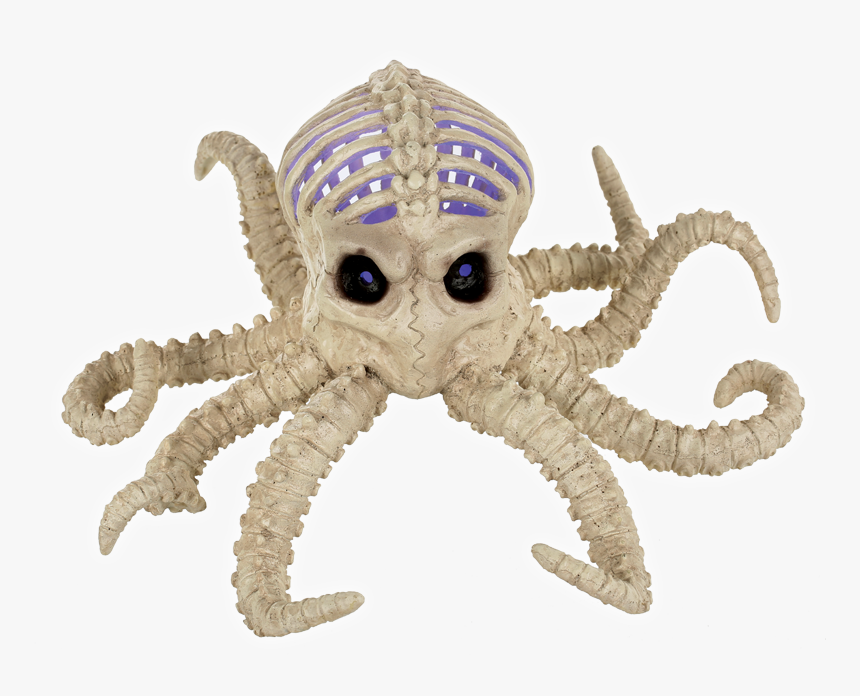 Skeleton Of A Octopus, HD Png Download