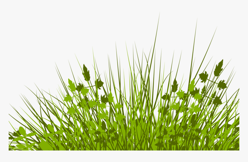 Lawn Royalty-free Stock Photography Illustration - Кліпарт Трава, HD Png Download