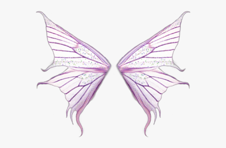#fairy #wings #forest #magic #fairywings - Wings, HD Png Download