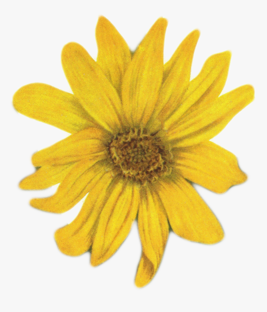 Clip Art, HD Png Download
