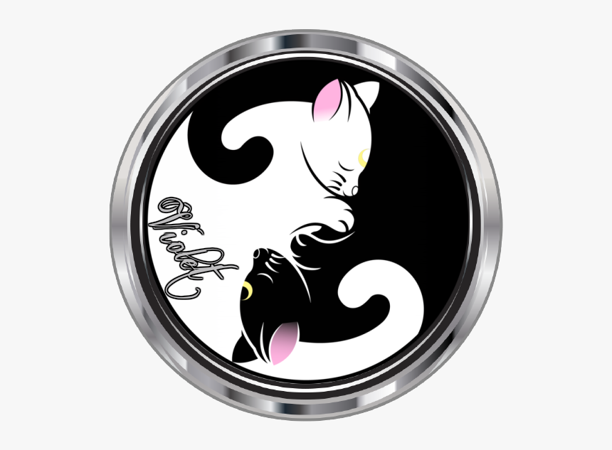 Black And White Cat Yin Yang, HD Png Download