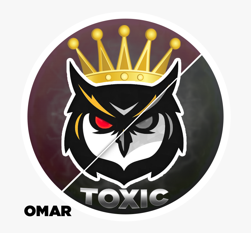 Kennesaw State Owls Logo Png, Transparent Png