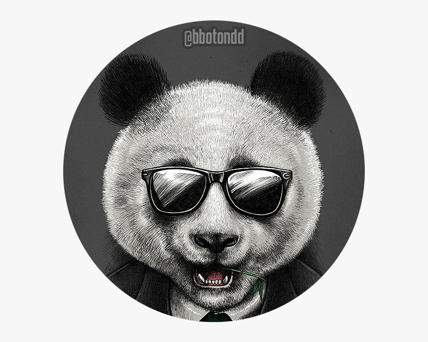 Cool Panda Profile, HD Png Download