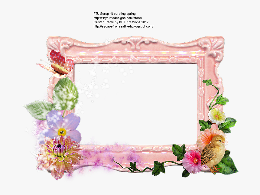 Picture Frame, HD Png Download
