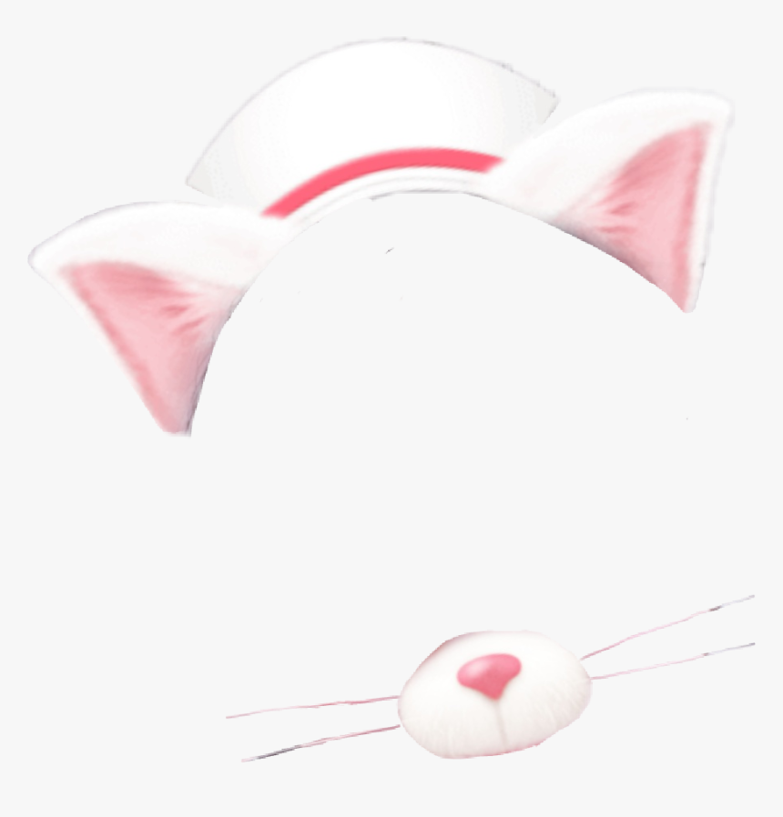 Nurse Nursing Cat Kitty Cute Animal Mask Snow - Beak, HD Png Download